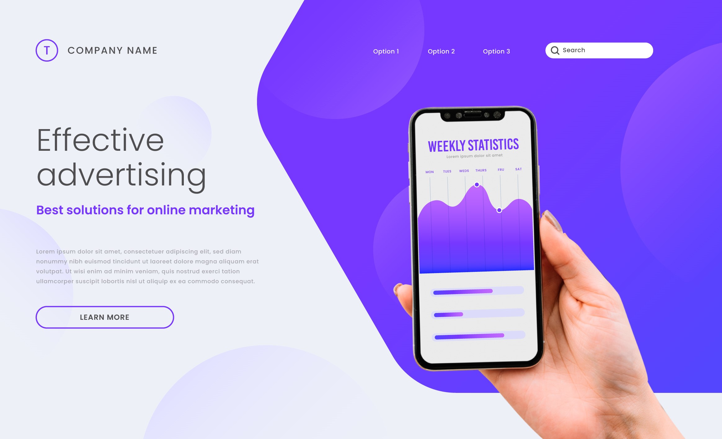 Online Advertising portfolio image